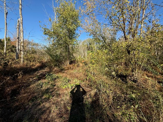 00 Durkee Road SE, Cleveland, TN 37323