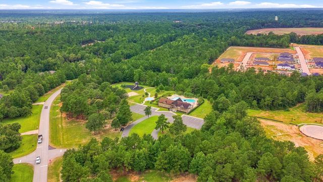 26063 Crown Ranch Boulevard, Montgomery, TX 77316