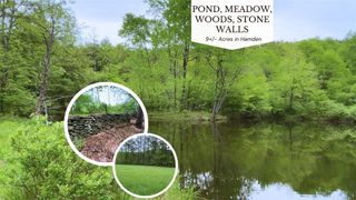 Lot 6.2 Launt Hollow Road, Hamden, NY 13782