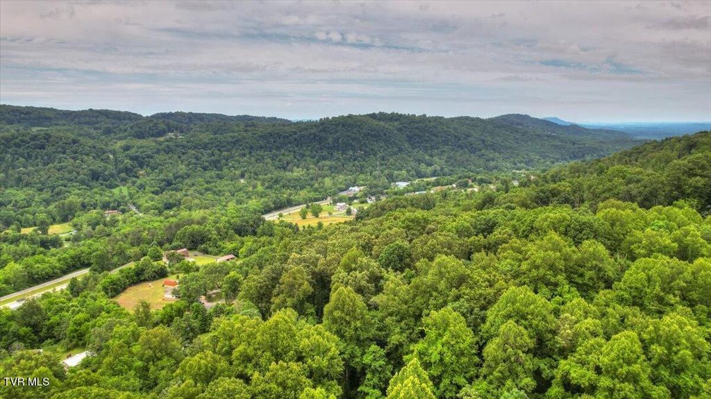 00 Tbd Misty Woods Private Drive, Blountville, TN 37617