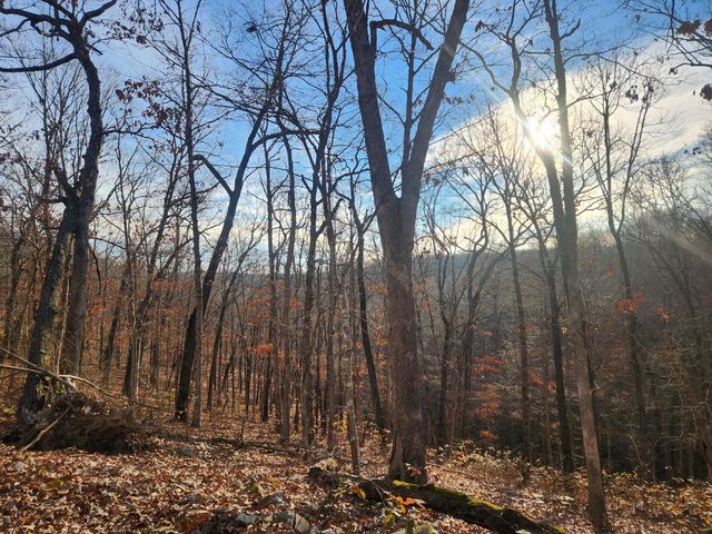 000 Farm Road 1150, Cassville, MO 65625