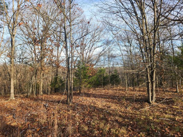 000 Farm Road 1150, Cassville, MO 65625