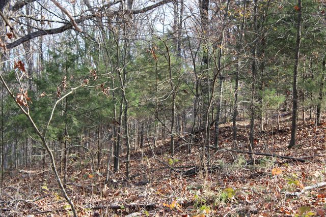 000 Farm Road 1150, Cassville, MO 65625