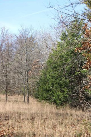 000 Farm Road 1150, Cassville, MO 65625