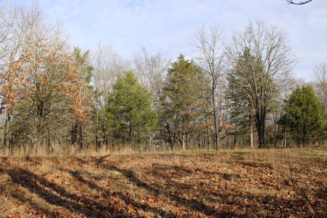000 Farm Road 1150, Cassville, MO 65625