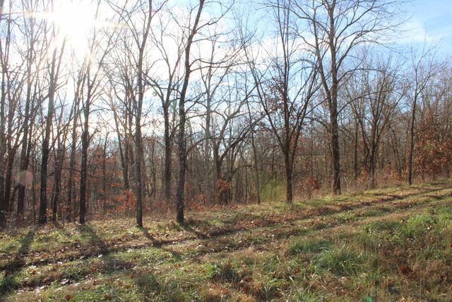 000 Farm Road 1150, Cassville, MO 65625