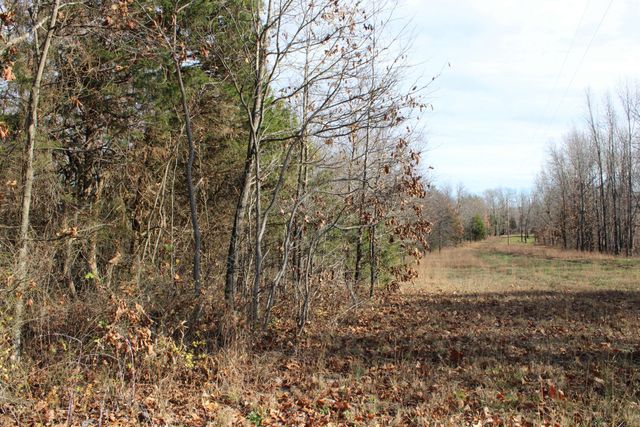 000 Farm Road 1150, Cassville, MO 65625