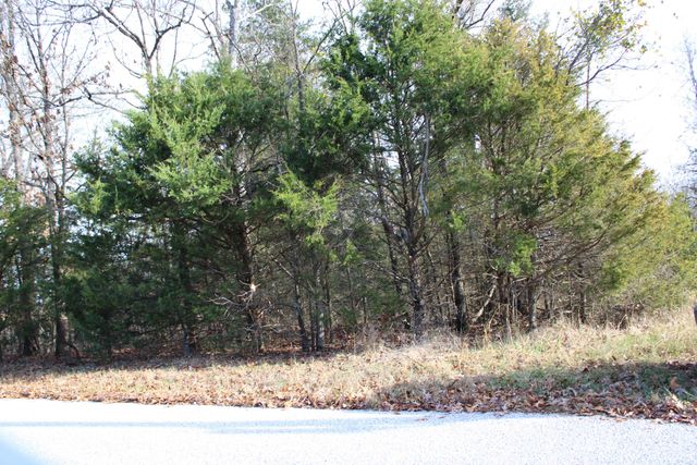 000 Farm Road 1150, Cassville, MO 65625