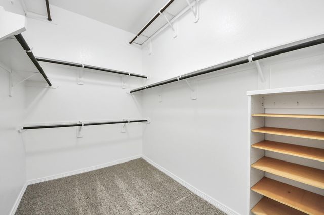 9019 Emerald Cane Drive, Missouri City, TX 77459