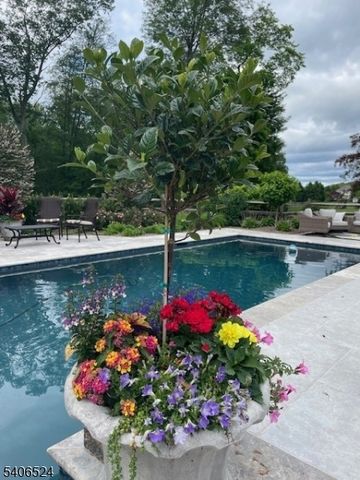 309 North Rd, Chester Twp., NJ 07930