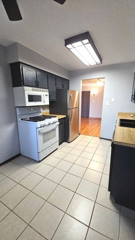 13615 LAMON Avenue 510, Crestwood, IL 60418