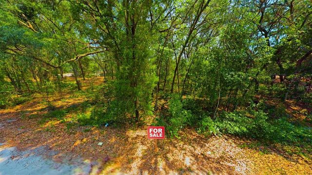TBD MALAUKA RADIAL, Ocklawaha, FL 32179