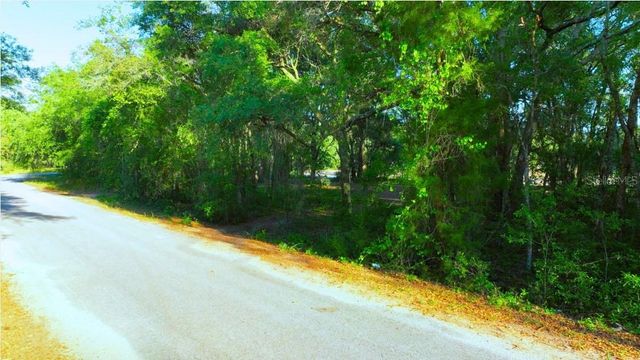 TBD MALAUKA RADIAL, Ocklawaha, FL 32179
