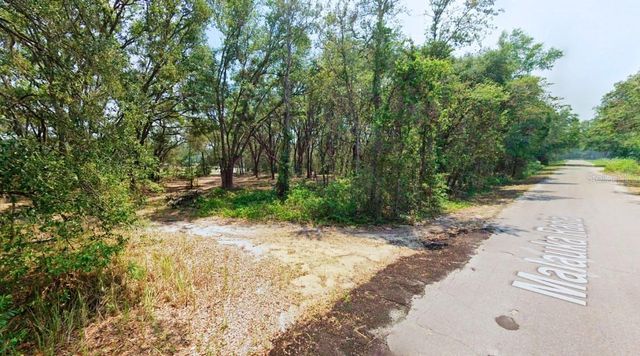 TBD MALAUKA RADIAL, Ocklawaha, FL 32179