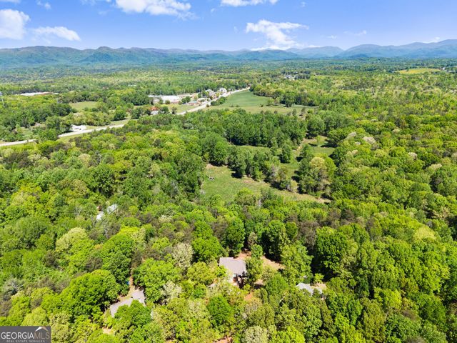 45 Holcomb Drive, Cleveland, GA 30528
