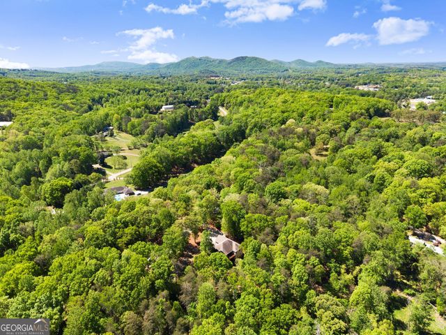 45 Holcomb Drive, Cleveland, GA 30528