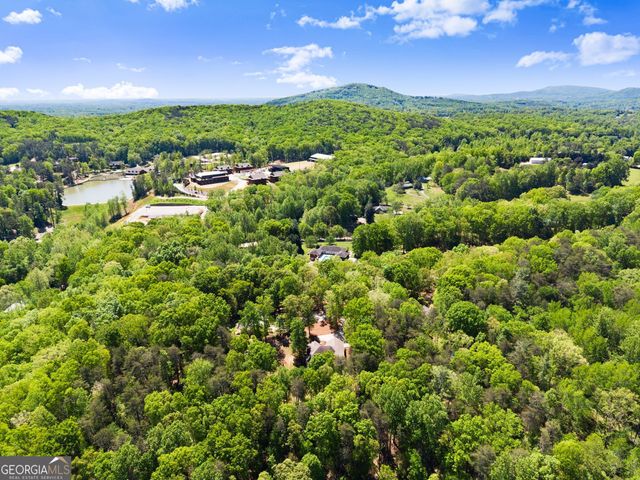 45 Holcomb Drive, Cleveland, GA 30528
