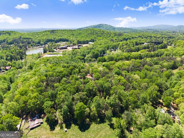 45 Holcomb Drive, Cleveland, GA 30528