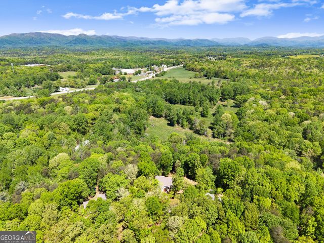 45 Holcomb Drive, Cleveland, GA 30528