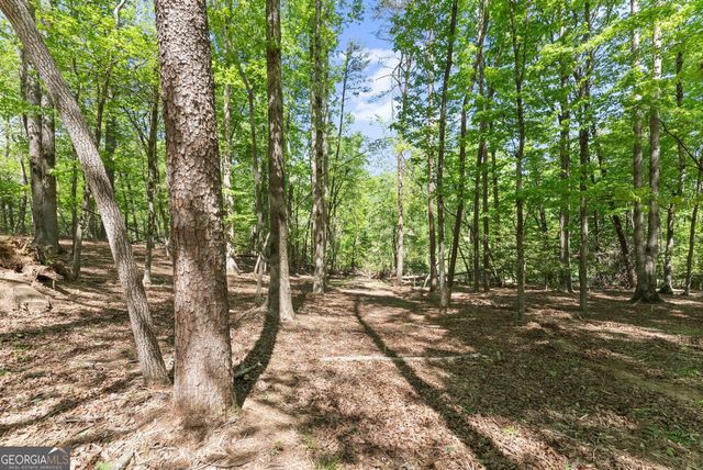 45 Holcomb Drive, Cleveland, GA 30528