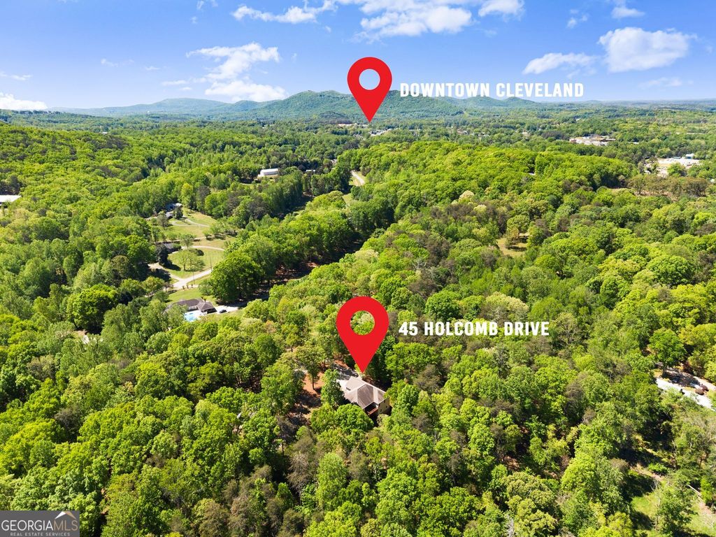 45 Holcomb Drive, Cleveland, GA 30528