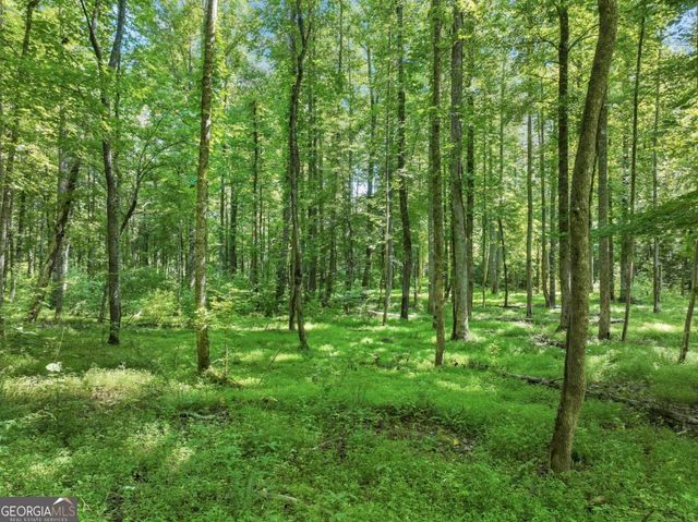 525 Etula Drive, Dahlonega, GA 30533