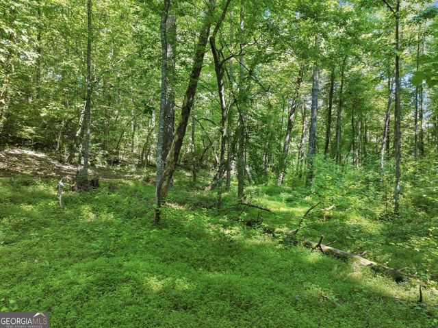 525 Etula Drive, Dahlonega, GA 30533