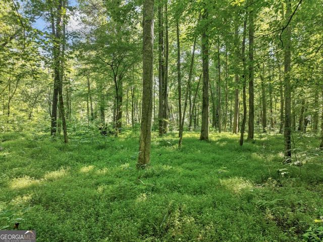 525 Etula Drive, Dahlonega, GA 30533