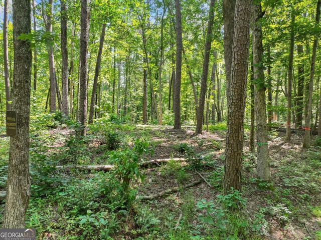 525 Etula Drive, Dahlonega, GA 30533