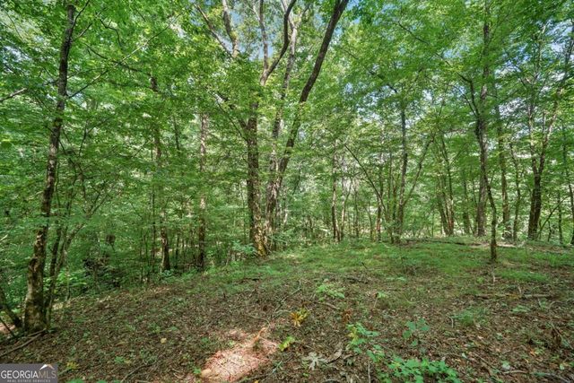 525 Etula Drive, Dahlonega, GA 30533