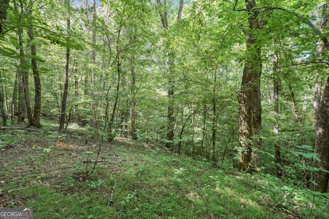 525 Etula Drive, Dahlonega, GA 30533