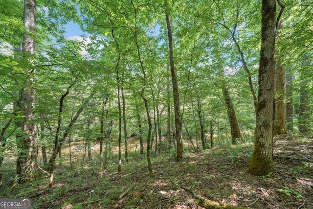 525 Etula Drive, Dahlonega, GA 30533