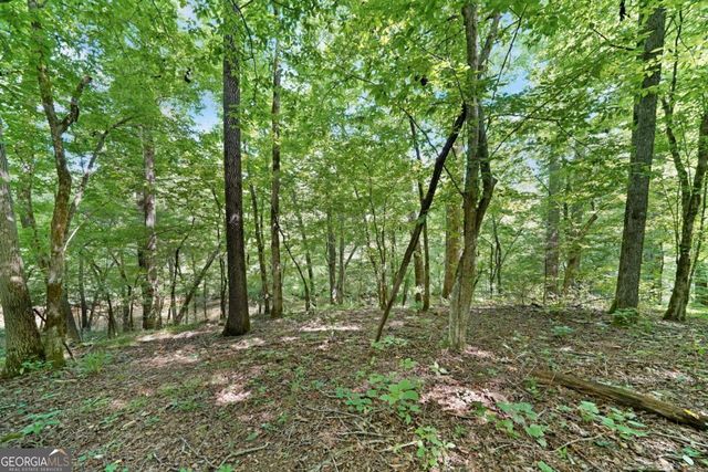 525 Etula Drive, Dahlonega, GA 30533