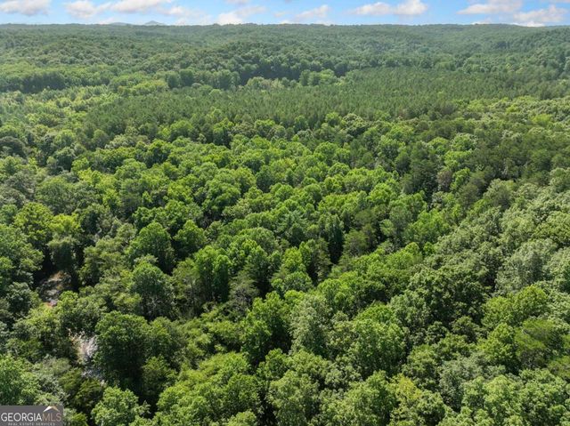 525 Etula Drive, Dahlonega, GA 30533