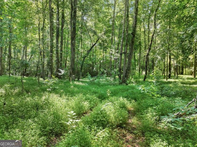 525 Etula Drive, Dahlonega, GA 30533