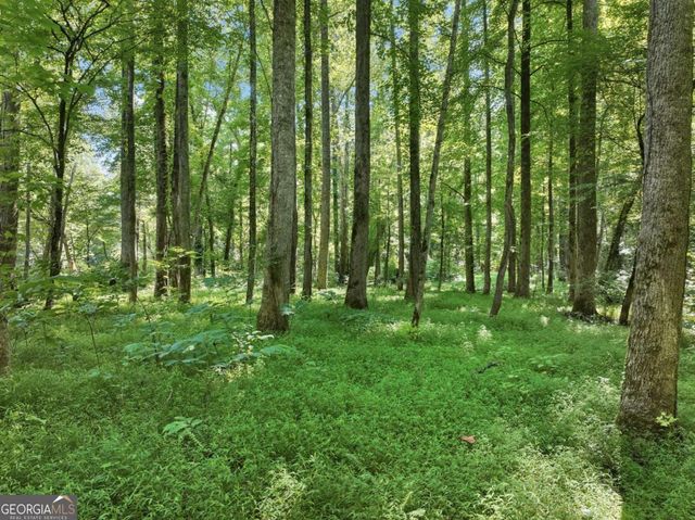 525 Etula Drive, Dahlonega, GA 30533