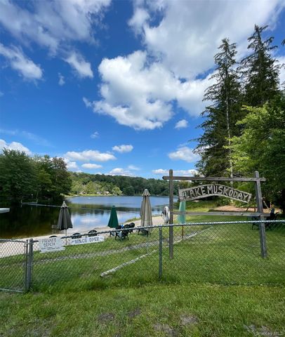 11 Lake Muskoday Road, Roscoe, NY 12776