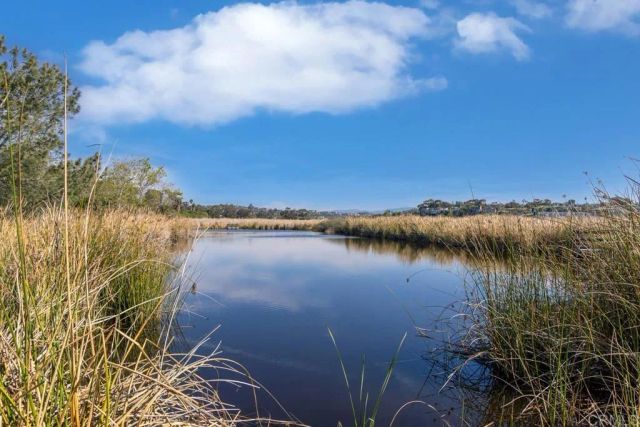 2522 Thyme Way, Carlsbad, CA 92008