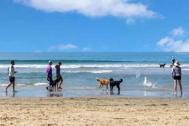 2522 Thyme Way, Carlsbad, CA 92008