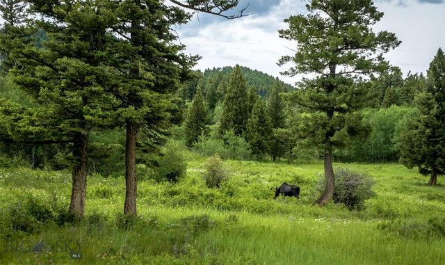 Ranch 3 North Pass Ranches, Bozeman, MT 59715