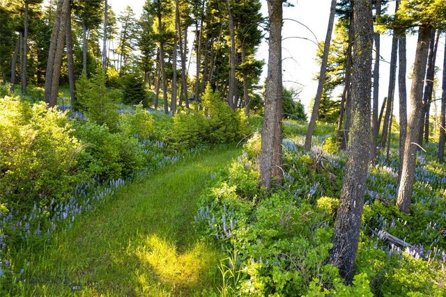 Ranch 3 North Pass Ranches, Bozeman, MT 59715