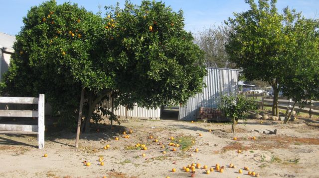 12283 E Dinuba Avenue, Selma, CA 93662