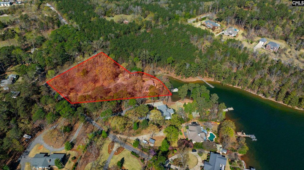 1007 Old Forge Court, Chapin, SC 29036