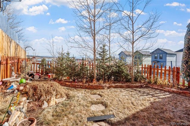 383 8th Street, Fairplay, CO 80440