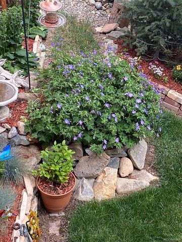 383 8th Street, Fairplay, CO 80440