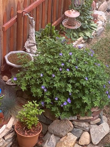 383 8th Street, Fairplay, CO 80440