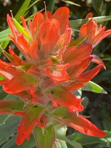 383 8th Street, Fairplay, CO 80440