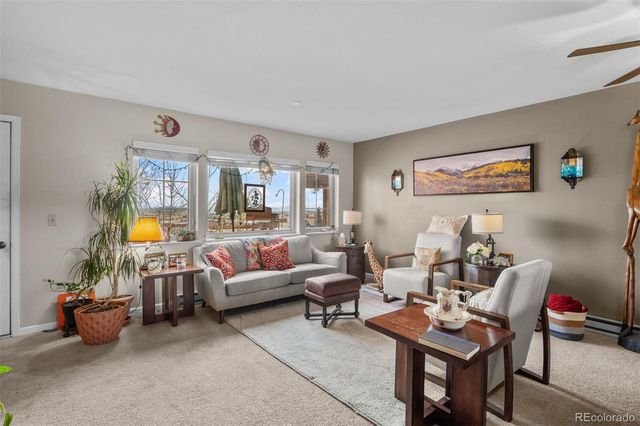 383 8th Street, Fairplay, CO 80440