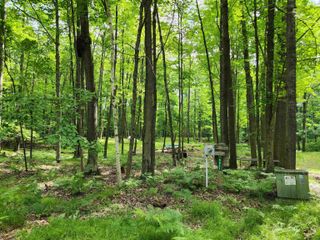 Lot 961 Clover Terrace, Farwell, MI 48622