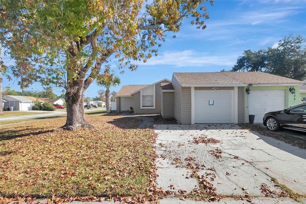 3202 RUSSETT DRIVE, Tampa, FL 33618